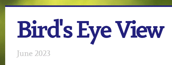 Bird's Eye View June Newsletter Image
